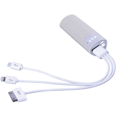   
         . 2600 mah
110 "